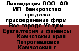 Ликвидация ООО, АО, ИП, банкротство, продажа, присоединение фирм - Все города Услуги » Бухгалтерия и финансы   . Камчатский край,Петропавловск-Камчатский г.